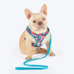 HUFT Free Flow Step-In Harness & Leash Set For Dog - Geomatrix Blue