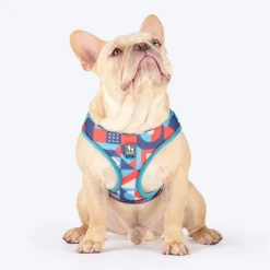 HUFT Free Flow Step-In Harness & Leash Set For Dog - Geomatrix Blue