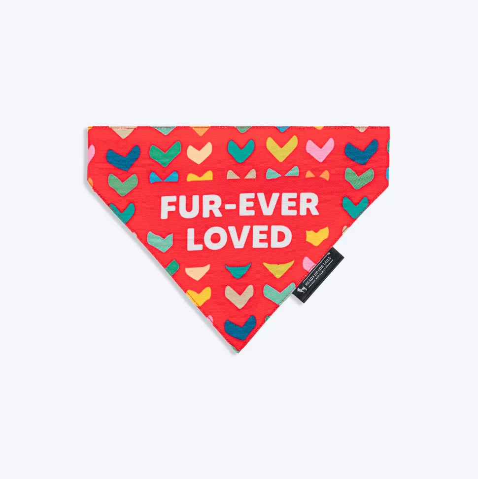 HUFT Fur-ever Loved Printed Dog Bandana - Red