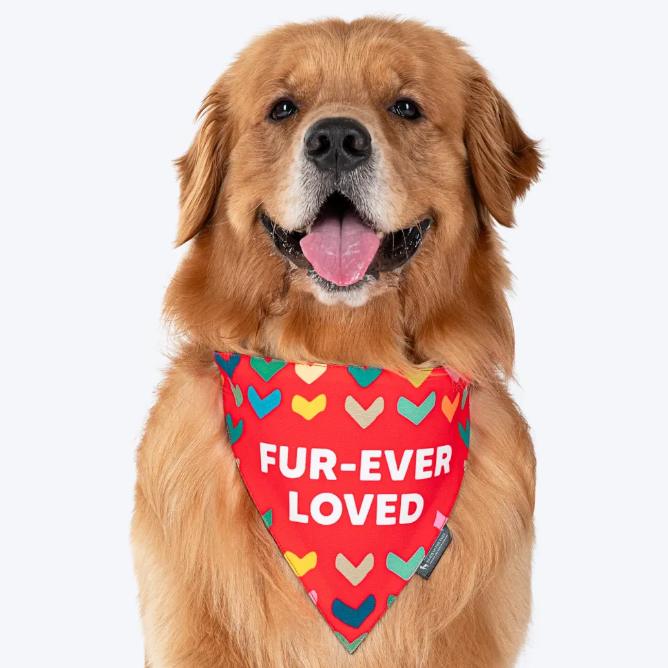 HUFT Fur-ever Loved Printed Dog Bandana - Red