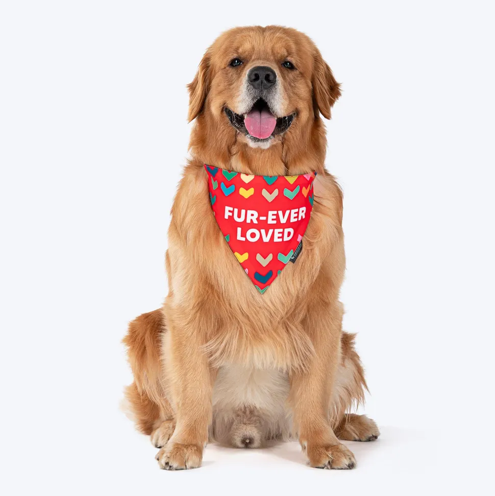 HUFT Fur-ever Loved Printed Dog Bandana - Red