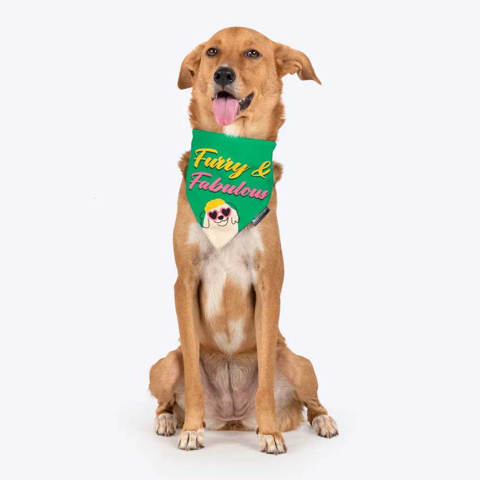 HUFT Furry & Fabulous Bandana For Dog - Green