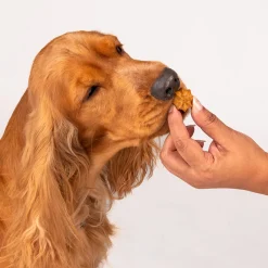 HUFT Goat Milk Dog Cookies - Apple - 200 g