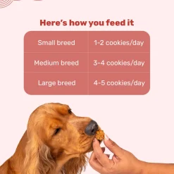 HUFT Goat Milk Dog Cookies - Apple - 200 g