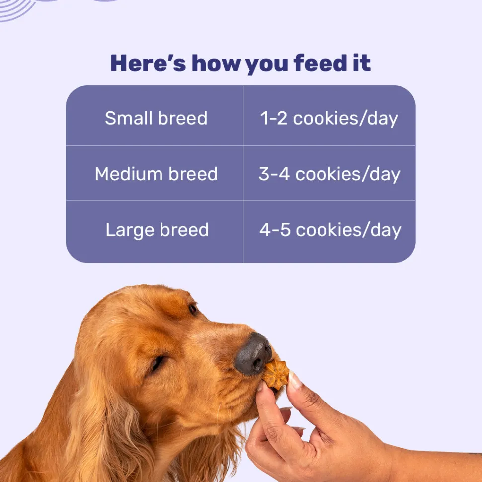 HUFT Goat Milk Dog Cookies - Blueberry - 200 g