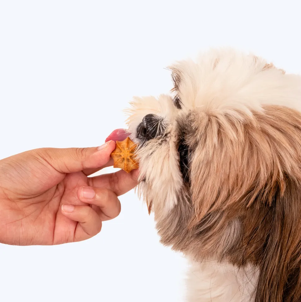 HUFT Goat Milk Dog Cookies - Chicken Liver - 200 g