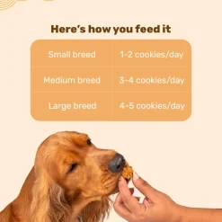 HUFT Goat Milk Gluten Free Dog Cookies - Pumpkin & Apple Combo - 200 Gm