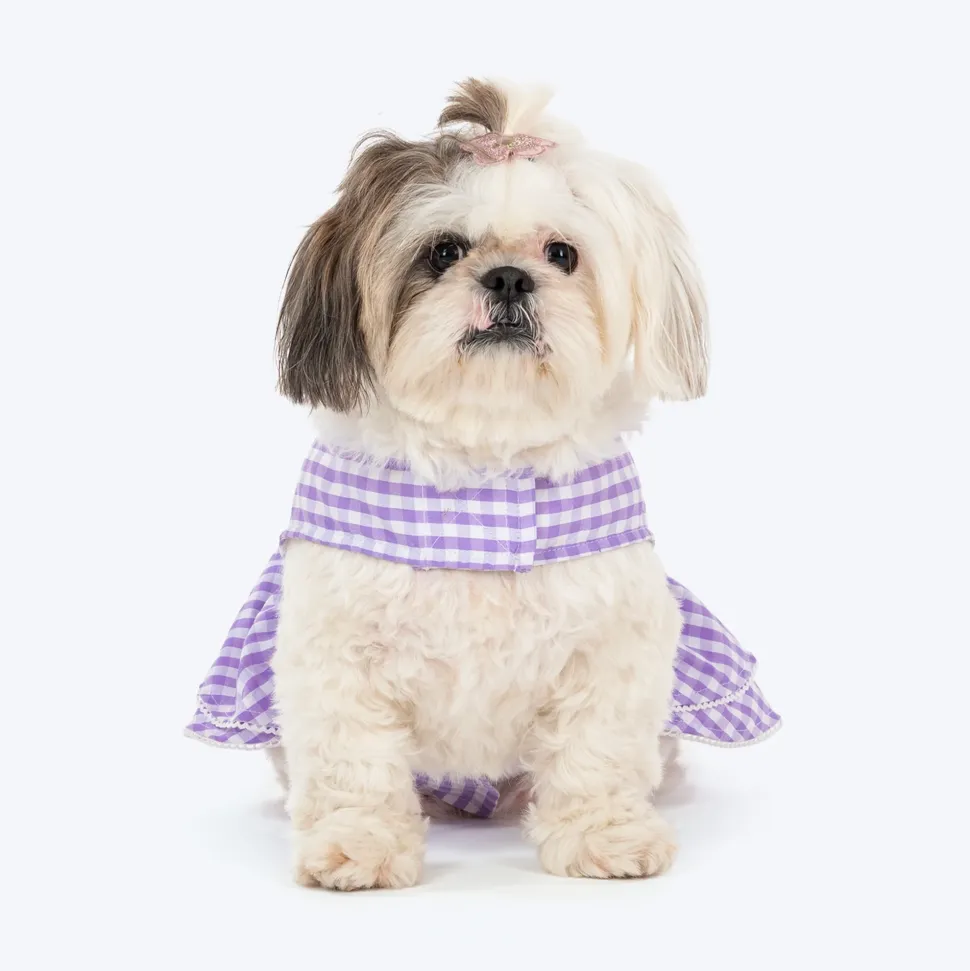 HUFT Go Gingham Dress For Dog - Purple