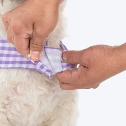 HUFT Go Gingham Dress For Dog - Purple