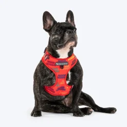 HUFT Good Doggie Adjustable Harness For Dog - Multicolor
