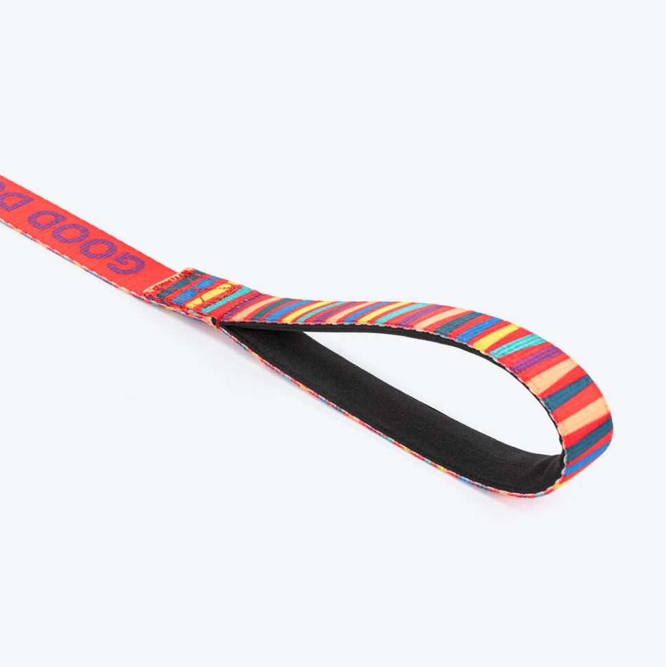 HUFT Good Doggie Leash For Dog - Multicolor