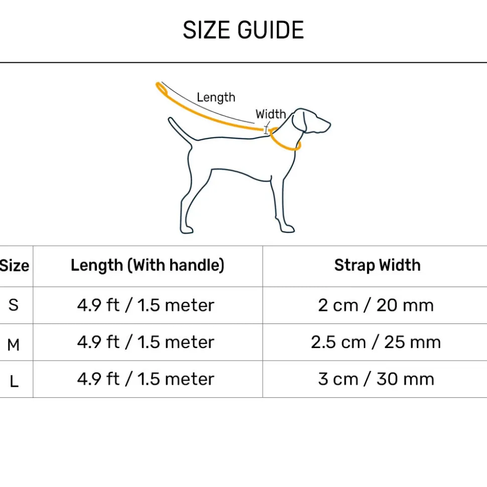 HUFT Good Doggie Leash For Dog - Multicolor
