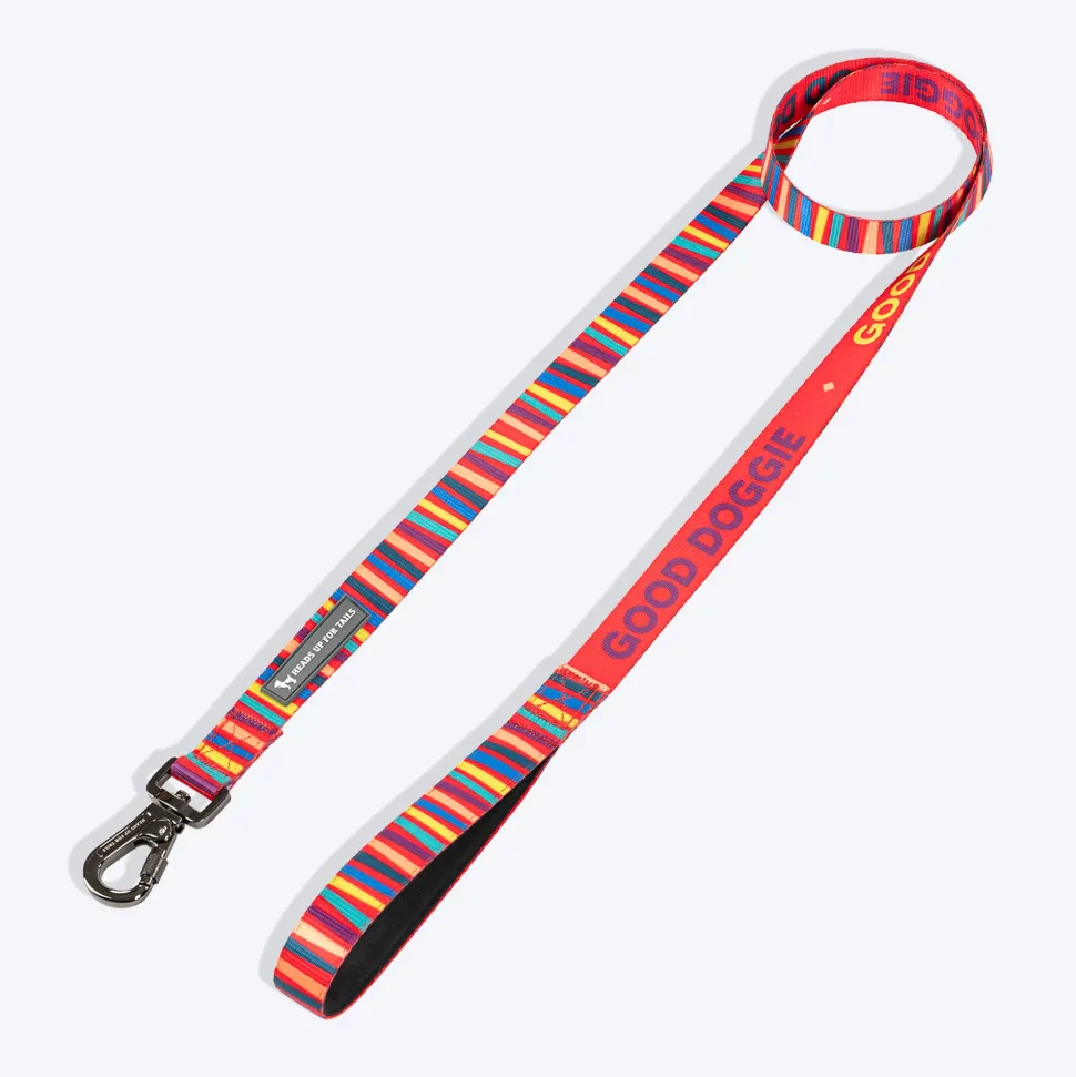 HUFT Good Doggie Leash For Dog - Multicolor