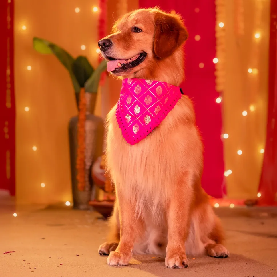 HUFT Gulabi Glow Bandana For Dog - Pink