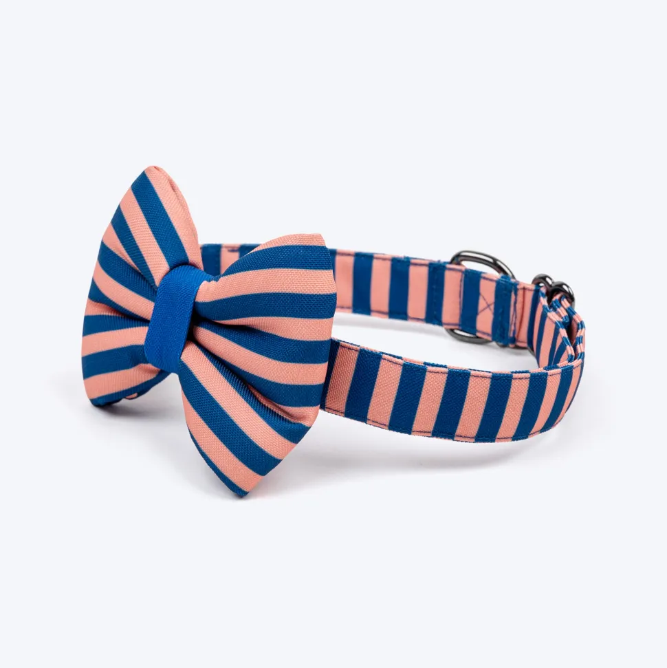 HUFT Happy Stripes Bow Tie With Collar For Dog - Blue & Peach