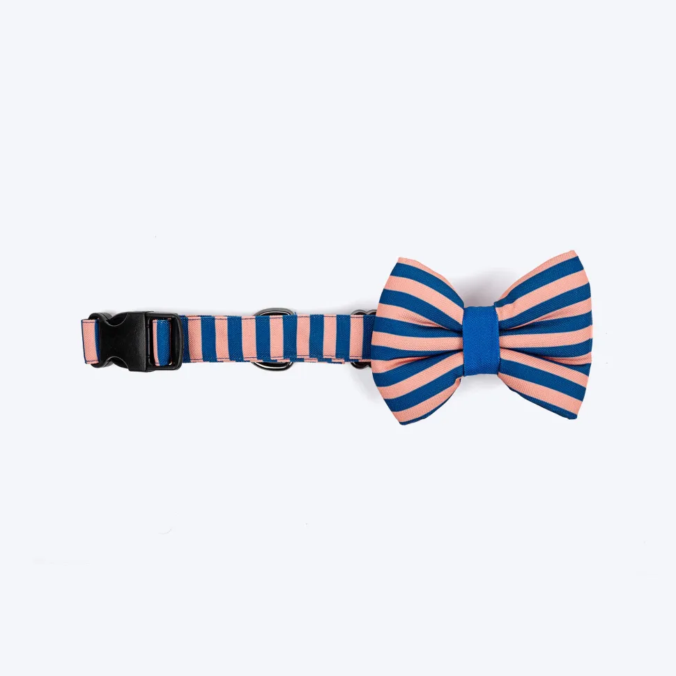 HUFT Happy Stripes Bow Tie With Collar For Dog - Blue & Peach