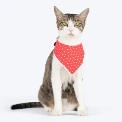 HUFT Heartstrings Printed Scarf For Cat & Puppy - Red
