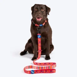 HUFT Heart to Heart Leash For Dog - Red