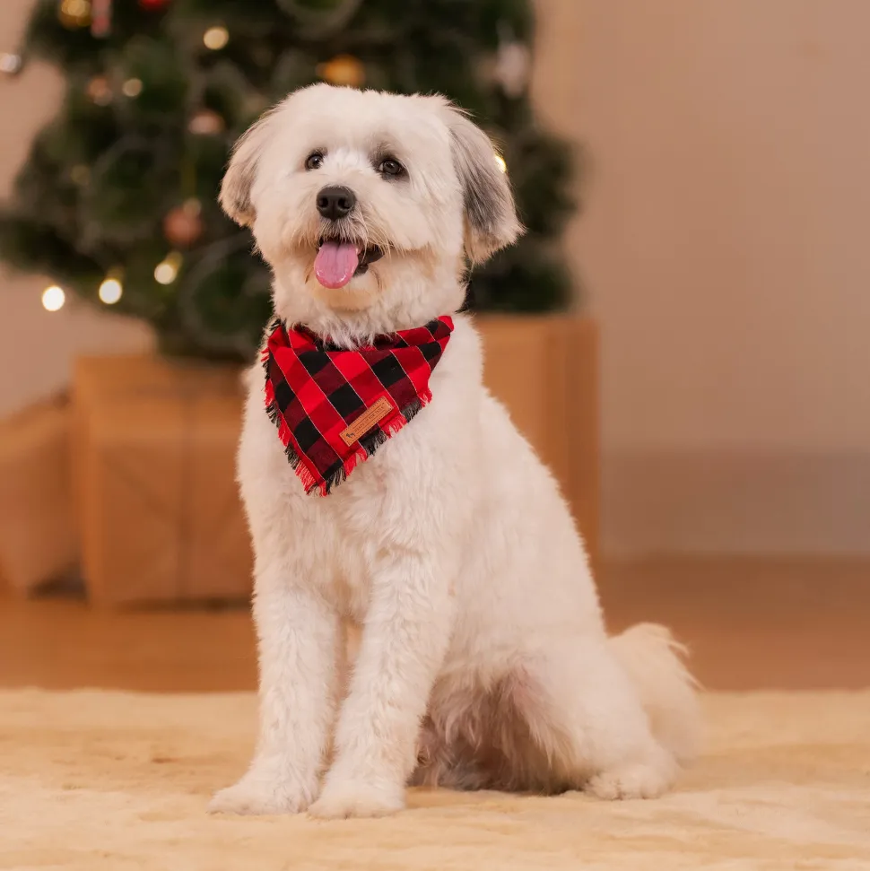 HUFT Holly Jolly Bandana For Dog - Red & Black