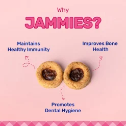 HUFT Jammies - Chicken Filled With Strawberry Jam Dog Treats - 100 g