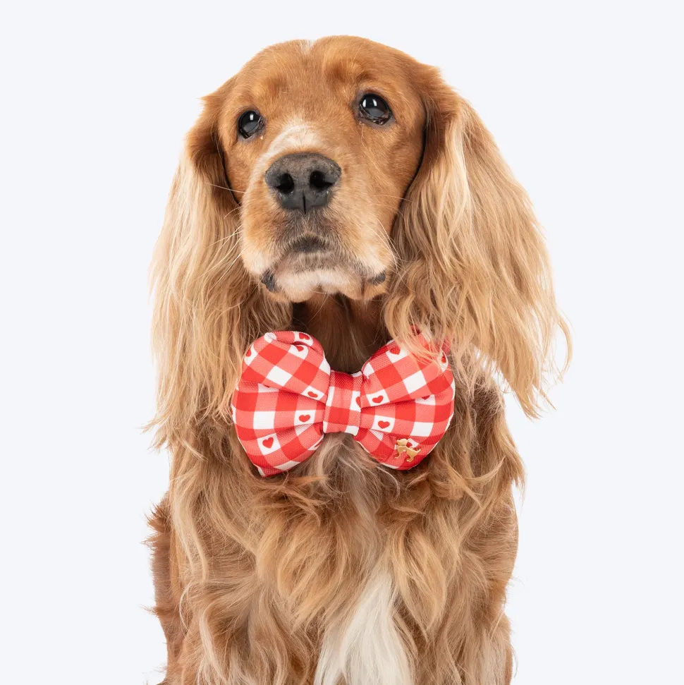 HUFT Jingle Hearts Collar With Bow Tie For Dog - Red & White