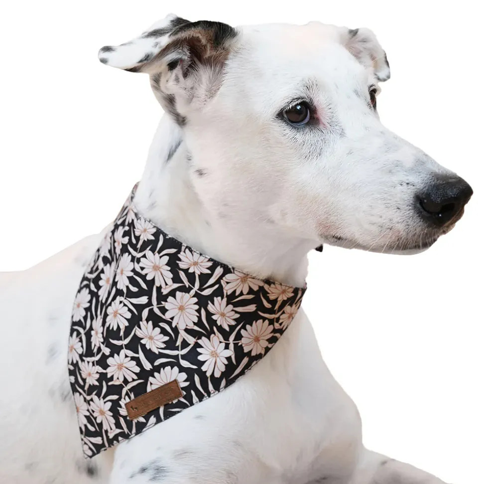 HUFT Jungle Collection Savanna's Dazzle Reversible Dog Bandana