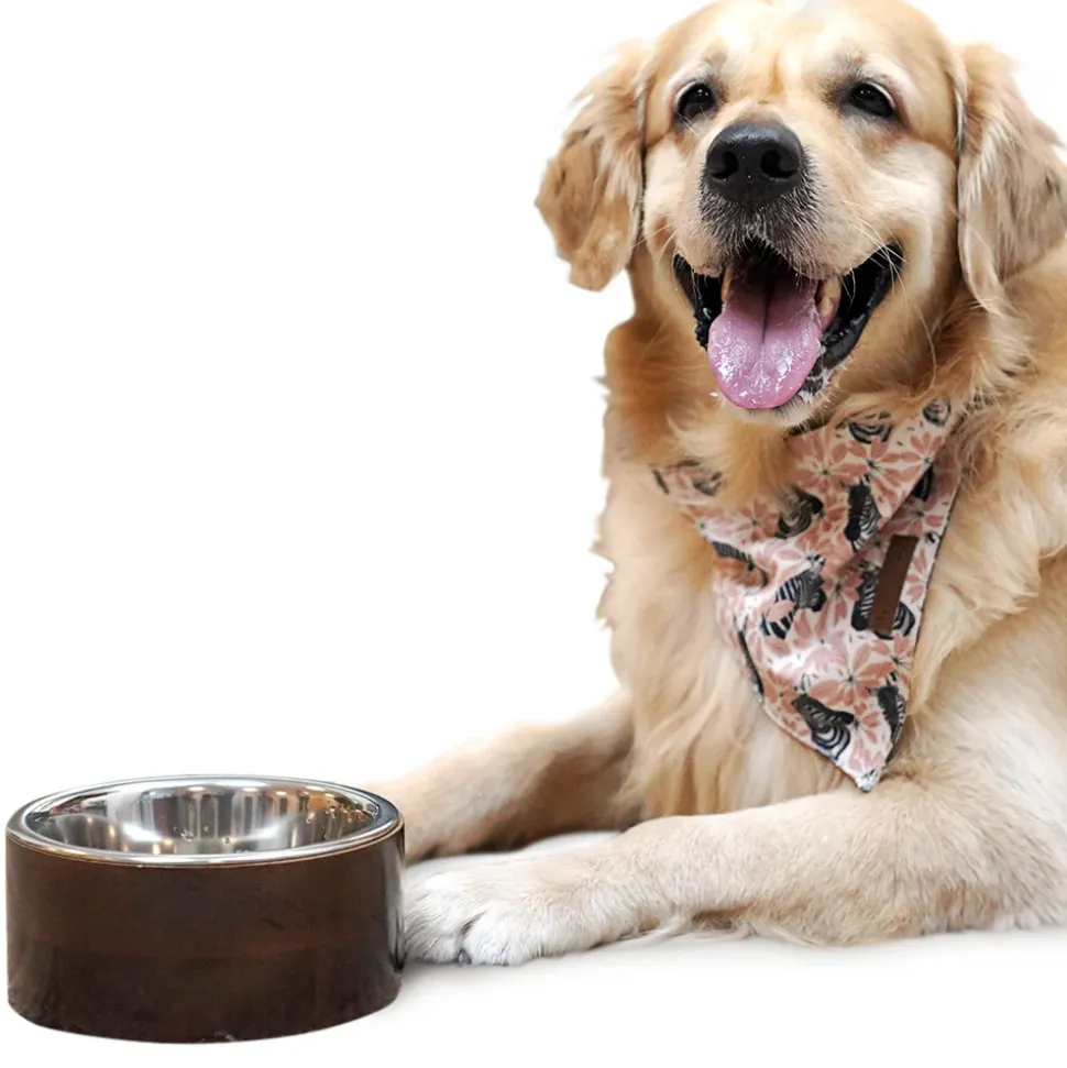 HUFT Jungle Collection Savanna's Dazzle Reversible Dog Bandana