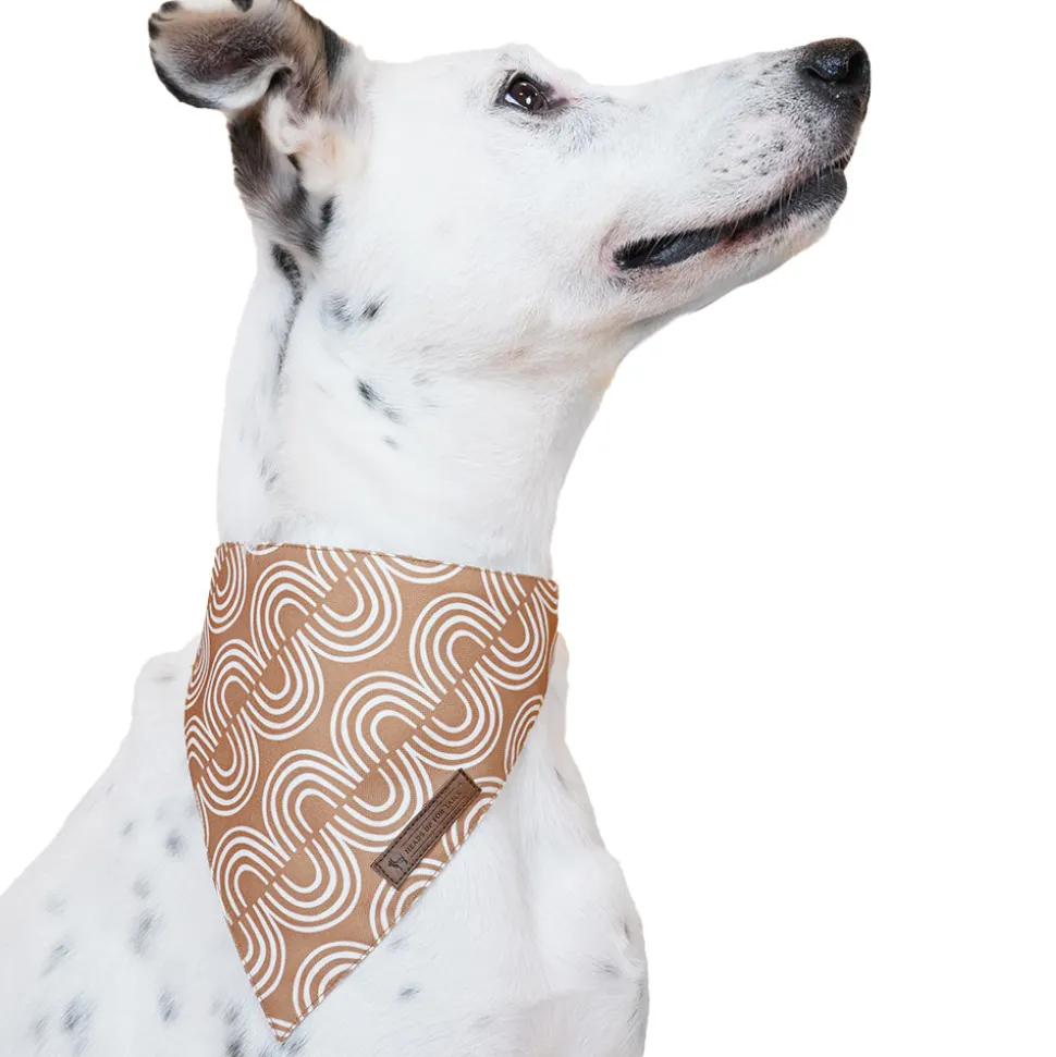 HUFT Jungle Collection Towering Grace Reversible Dog Bandana