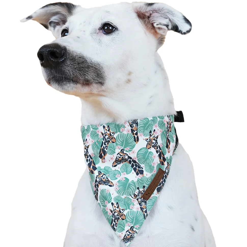 HUFT Jungle Collection Towering Grace Reversible Dog Bandana
