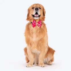 HUFT Leheriya Luxe Bowtie For Dog - Pink - L