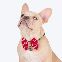 HUFT Leheriya Luxe Bowtie For Small Breed Dog - Pink - S