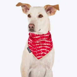 HUFT Leheriya Luxe Knot Bandana For Dog - Pink