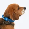 HUFT Love Pawtector Collar Insert For Dog & Cat - Blue