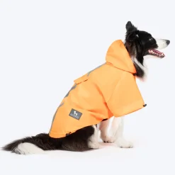 HUFT Magical Mist Raincoat With Harness Opening For Dog - Orange