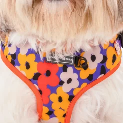 HUFT Misfit Meadow Adjustable Dog Harness - Purple