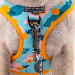HUFT Modern Art Printed Dog Harness