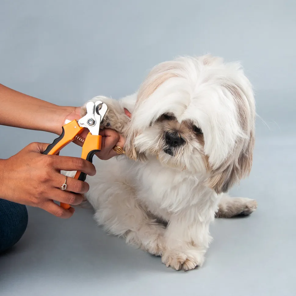 HUFT Nail Cutter for Dogs with Safety Guard