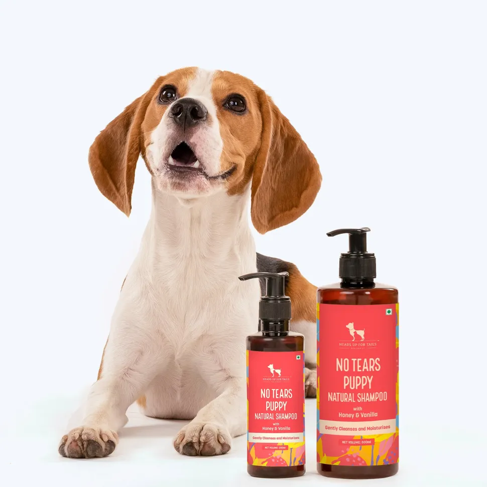 HUFT Natural Shampoo For Puppy - Vanilla & Honey