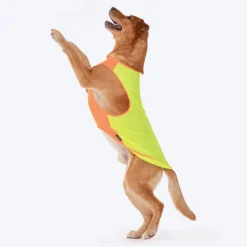 HUFT Neon Burst Vest For Dogs (Orange)