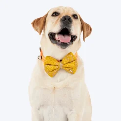 HUFT Noori Bow Tie For Dog - Yellow