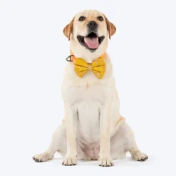 HUFT Noori Bow Tie For Dog - Yellow