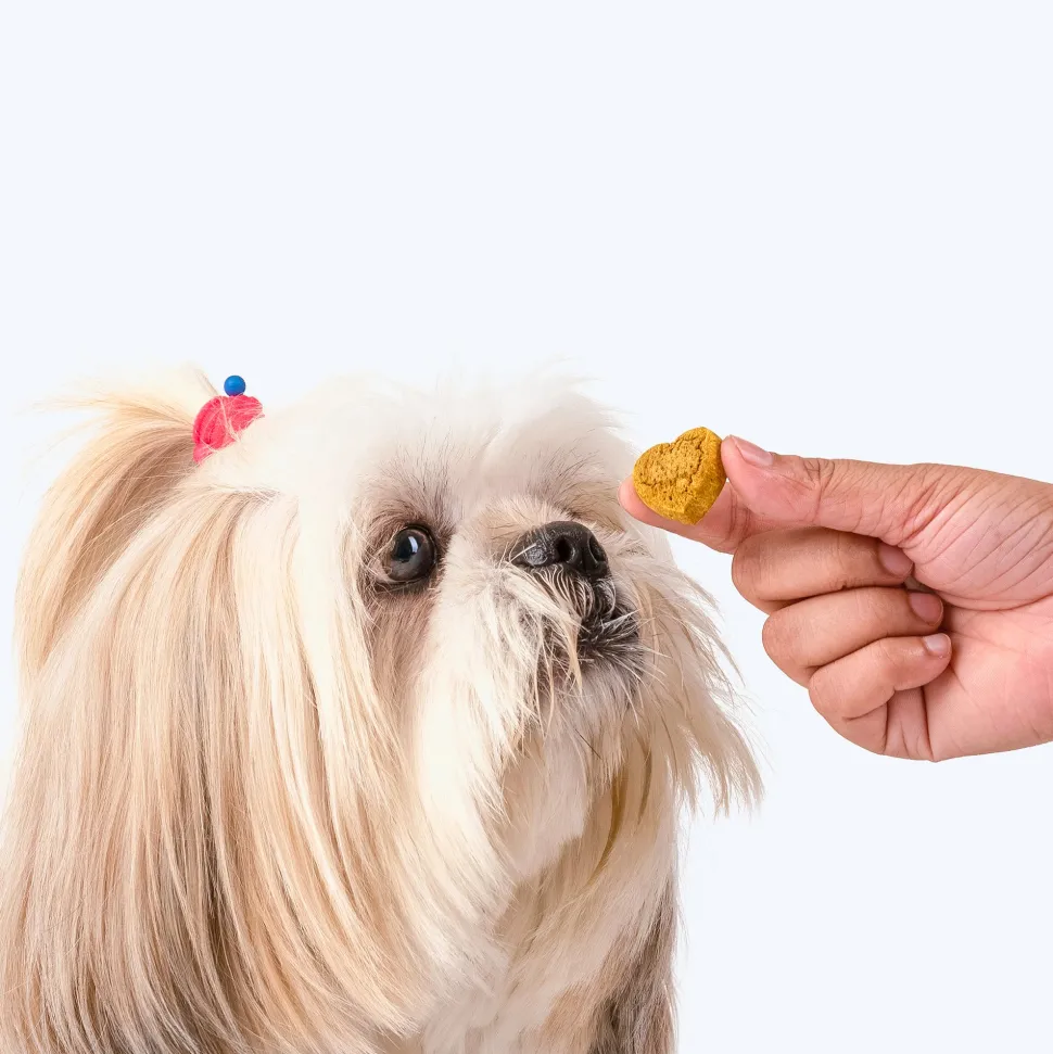 HUFT Nutri Treats For Dogs - Hip & Joint Support - 150 g
