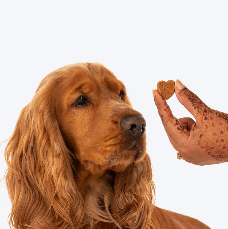 HUFT Nutri Treats For Dogs - Skin & Coat Support - 150 g