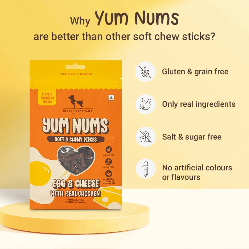 HUFT On-the-Go Essentials For Dogs