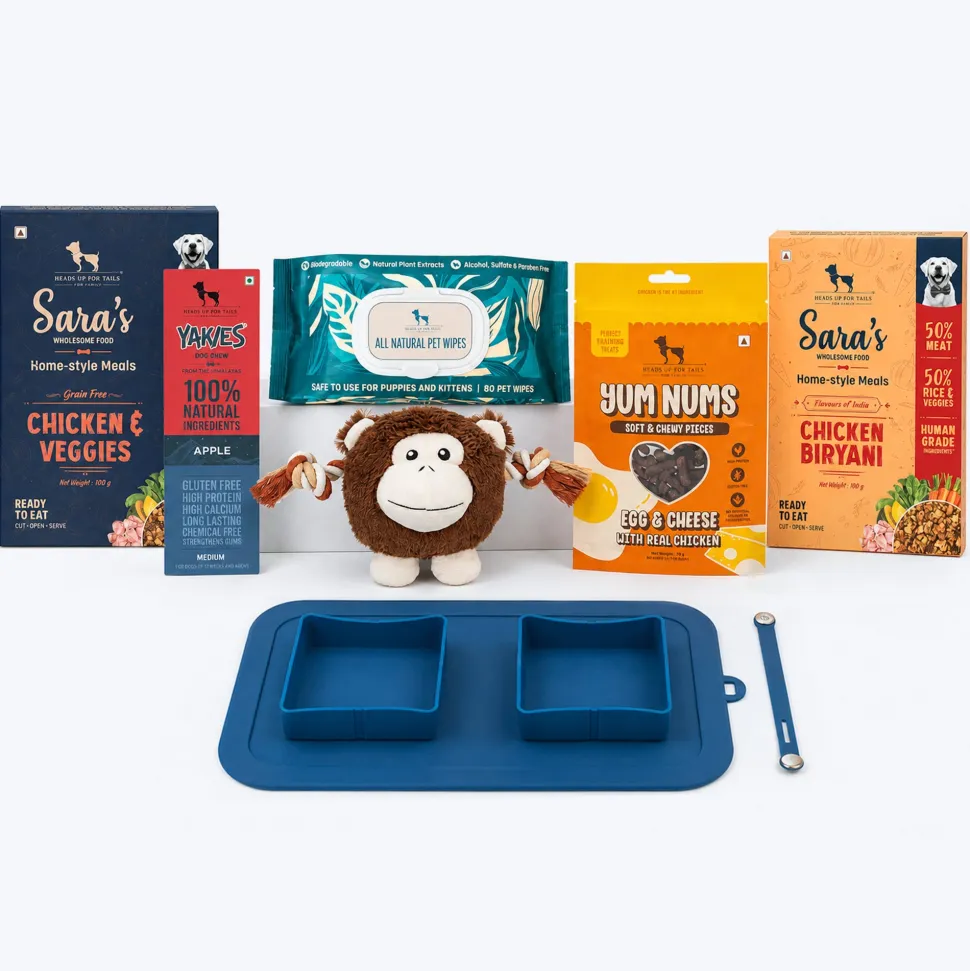 HUFT On-the-Go Essentials For Dogs