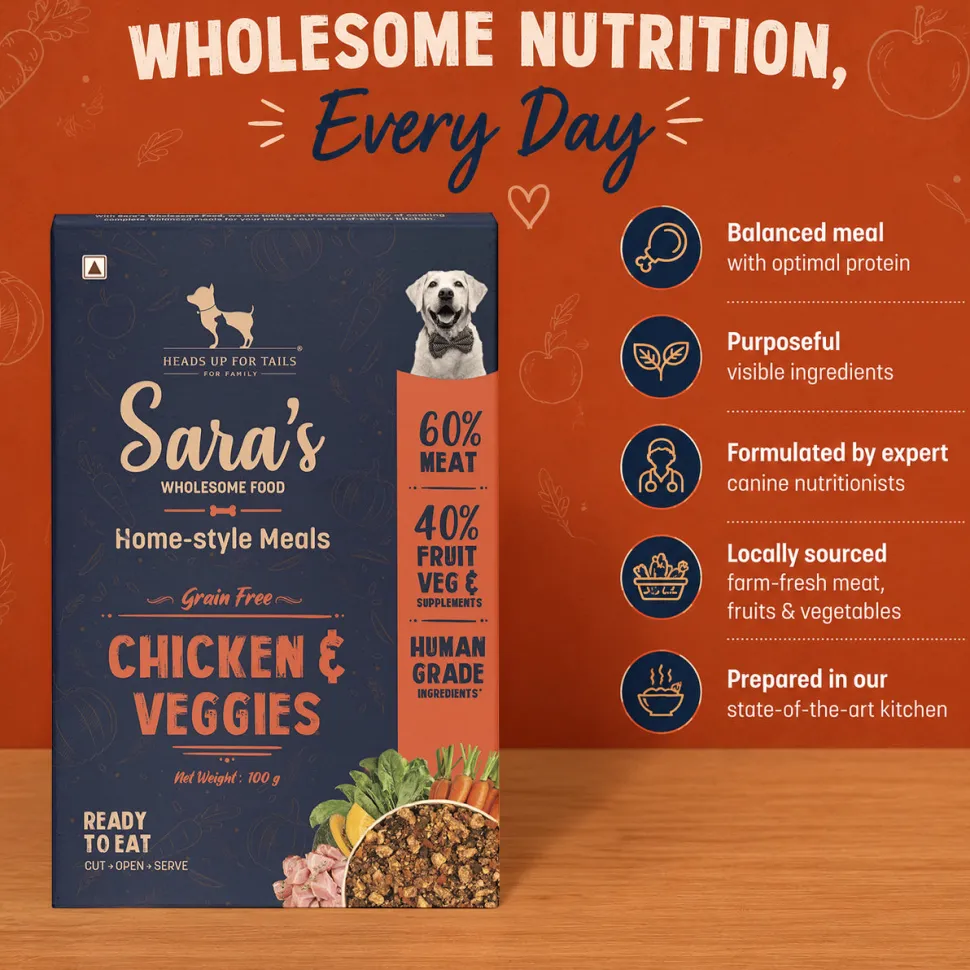 HUFT On-the-Go Essentials For Dogs