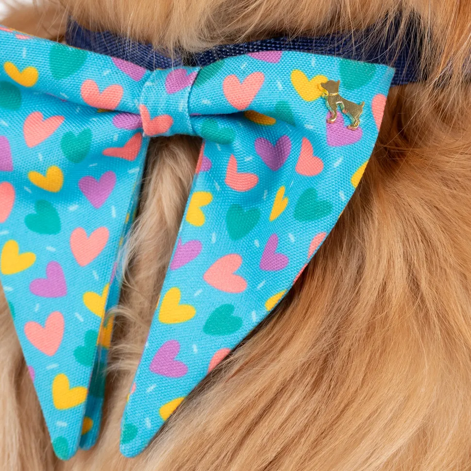 HUFT Over The Rainbow Printed Bow Tie for Dog - Blue