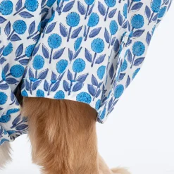 HUFT Pawbloom Kurta For Dog - Blue & White