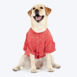 HUFT Pawdhani Leheriya Kurta For Dog - Red