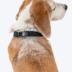 HUFT Pawsitively Adorable Printed Dog Bandana - Multicolour